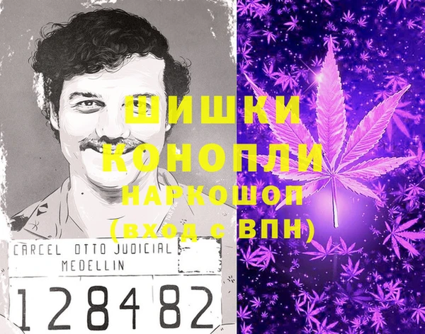 спиды Вяземский
