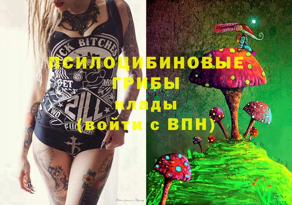 прущие грибы Волосово