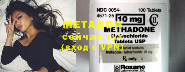 прущие грибы Волосово