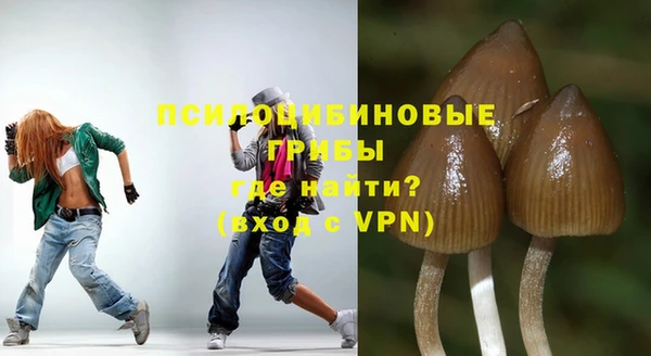 прущие грибы Волосово