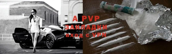 прущие грибы Волосово
