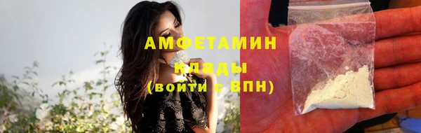 прущие грибы Волосово