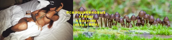 не бодяженный Володарск