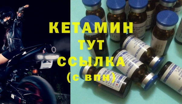прущие грибы Волосово