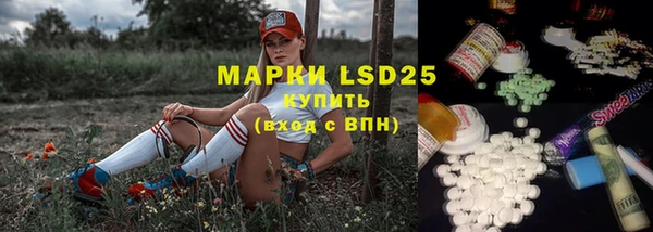 спиды Вяземский