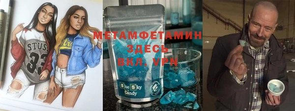 прущие грибы Волосово