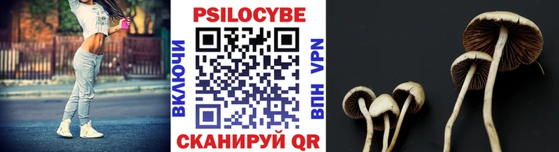 Псилоцибиновые грибы Cubensis  нарко площадка официальный сайт  Архангельск  наркошоп 
